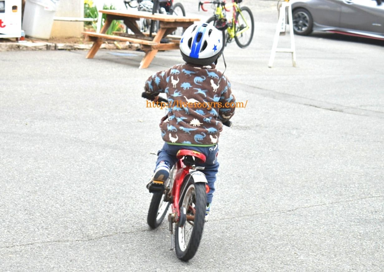榎本牧場で自転車を満喫する息子